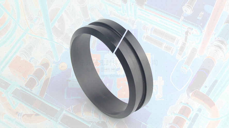 轴用带刮唇导向环DFAI 导向套 (6)唇型密封圈