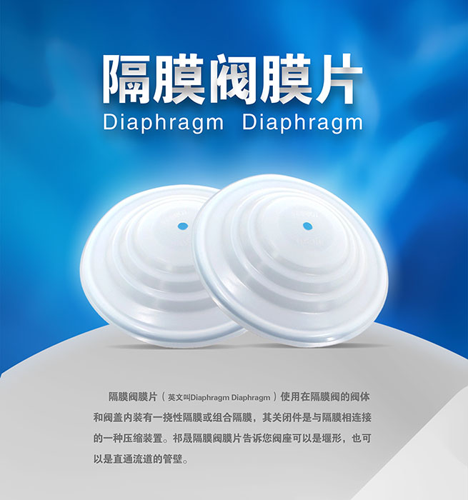 隔膜阀膜片泵阀密封件 隔膜阀膜片泵阀密封件