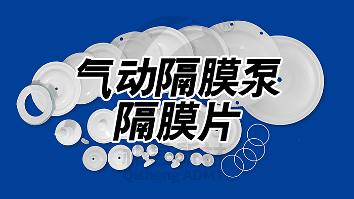 气动隔膜泵隔膜片密封件1威廉官网中国官方网站 气动隔膜泵隔膜片密封件1威廉官网中国官方网站