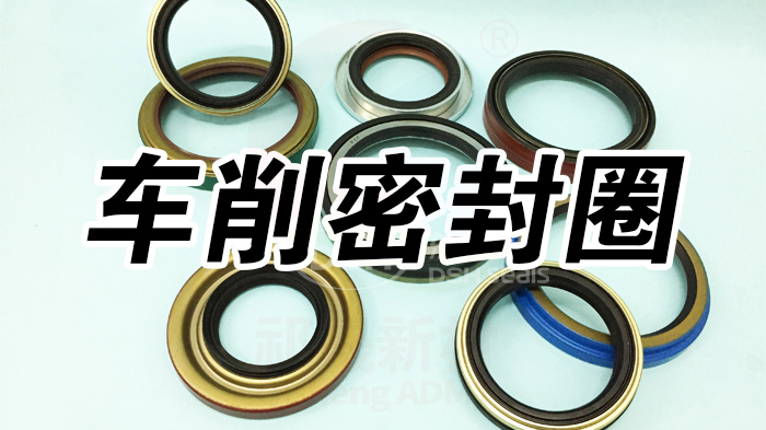 4车削密封圈密封件油封产品大全 副本威廉官网中国官方网站