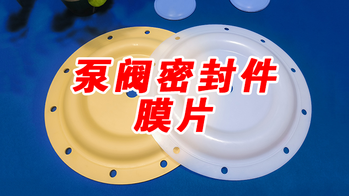 泵阀密封件膜片密封件 (1)