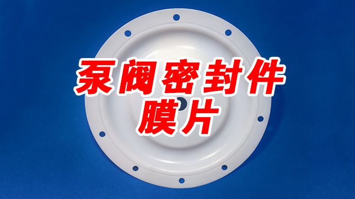 泵阀密封件膜片密封件 (2)